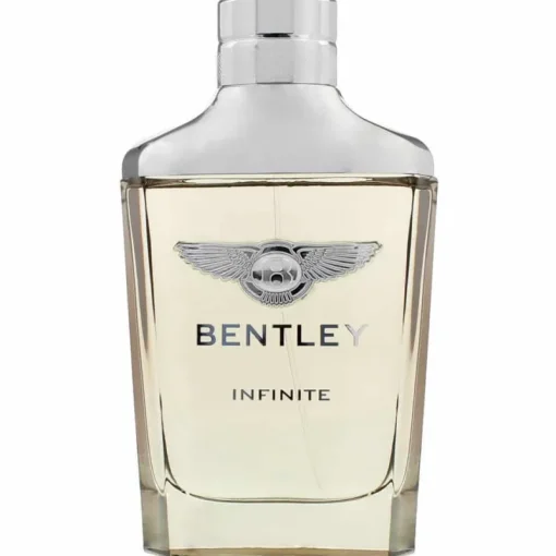 Bentley Infinite Edt 100ml Hot