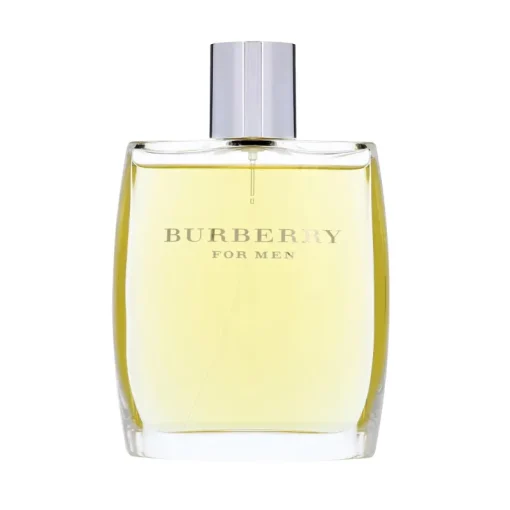 Burberry For Men Edt 100ml Fashion