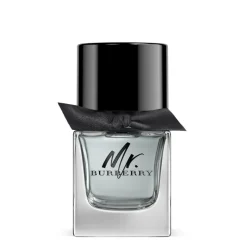 Burberry Mr. Edt 50ml Outlet