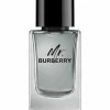 Burberry Mr Edt 100ml Sale