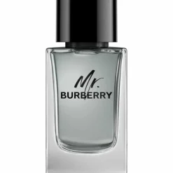 Burberry Mr Edt 100ml Sale