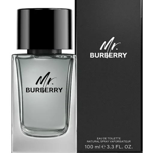 Burberry Mr Edt 100ml Sale