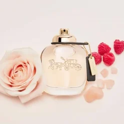 Coach Edp 50ml Discount
