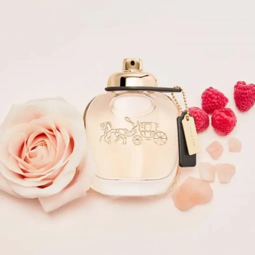 Coach Edp 50ml Discount
