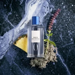David Beckham Classic Blue Edt 100ml Sale