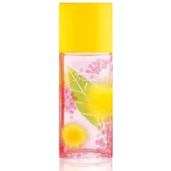 Elizabeth Arden Green Tea Mimosa edt 100ml Clearance