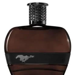 Ford Mustang Black For Men Edt 100ml Fashion