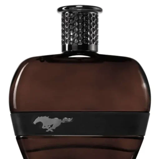 Ford Mustang Black For Men Edt 100ml Fashion