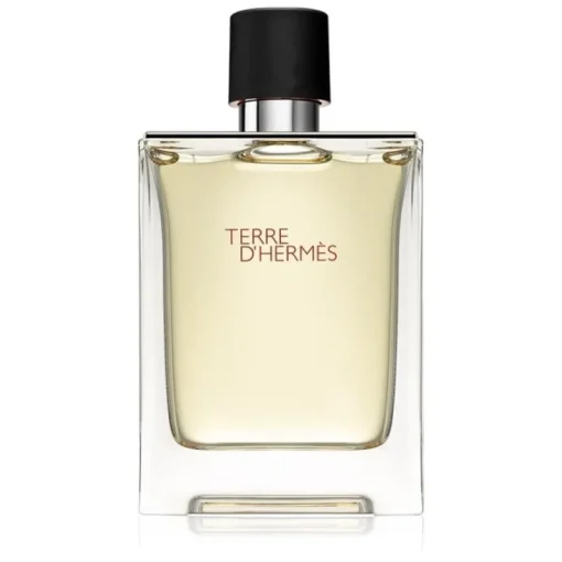 Hermes Terre d’ Edt 100ml Outlet