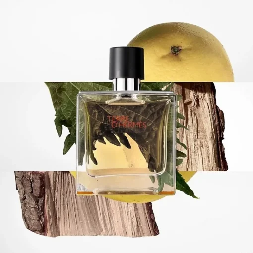 Hermes Terre d’ Edt 100ml Outlet