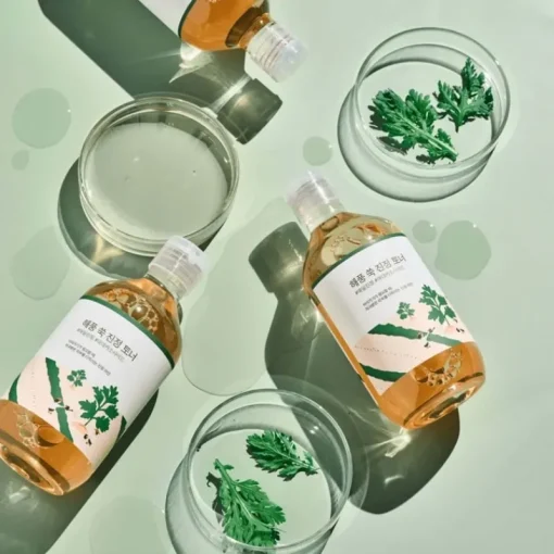 Round Lab Mugwort Calming Toner 300ml Discount