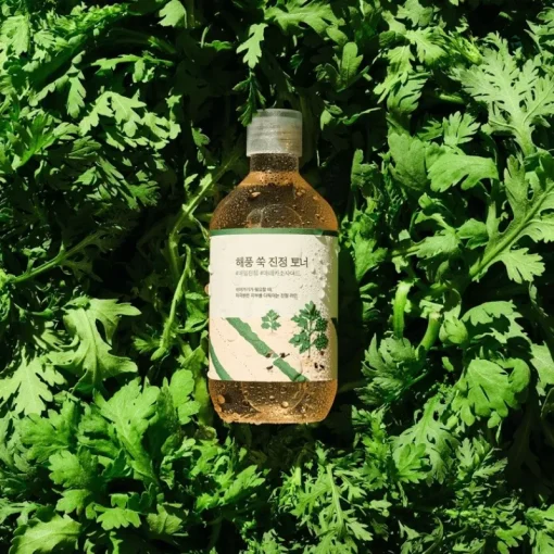 Round Lab Mugwort Calming Toner 300ml Discount