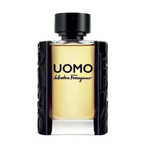 Salvatore Ferragamo Uomo Edt 100ml Hot