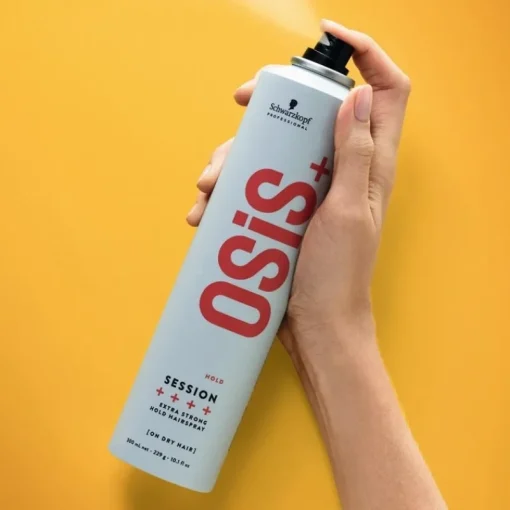 Schwarzkopf Osis Session 100ml Clearance