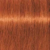 Schwarzkopf Professional Igora Vibrance Kit 7-77 Medium Blonde Copper Extra Online