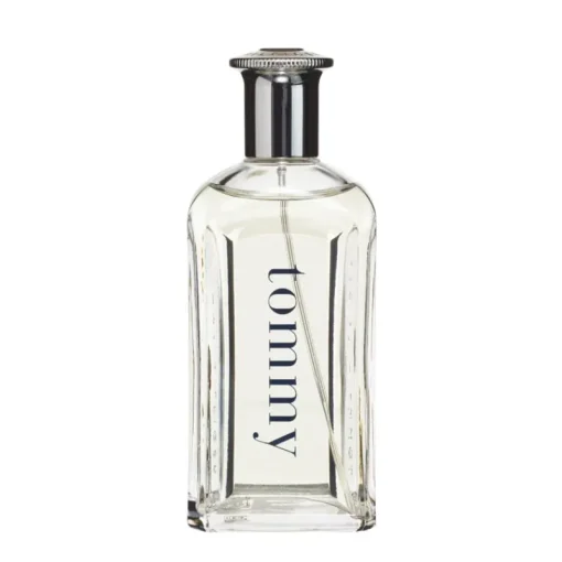 Tommy Hilfiger Tommy Edt 100ml Clearance
