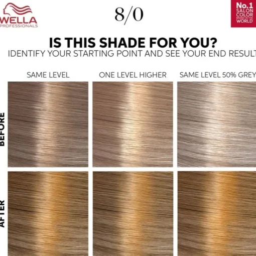 WELLA Color Touch Pure Naturals 8/0 Light Blonde Best