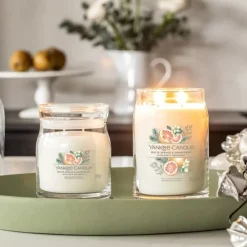 Yankee Candle Signature Medium Jar White Spruce & Grapefruit 368g Discount