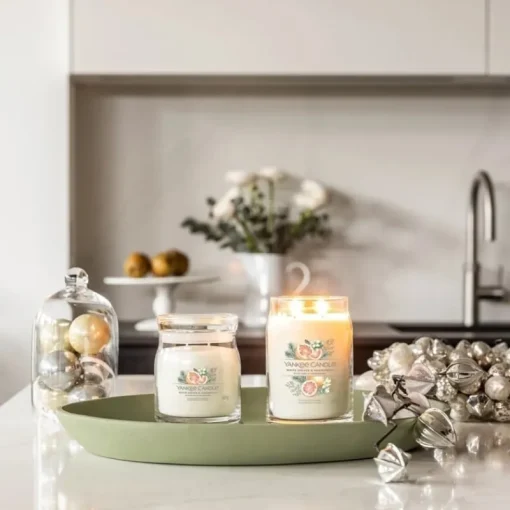 Yankee Candle Signature Medium Jar White Spruce & Grapefruit 368g Discount